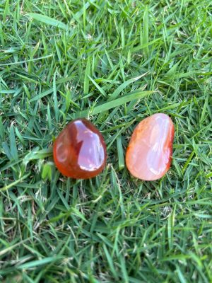 Agata cornalina rolada